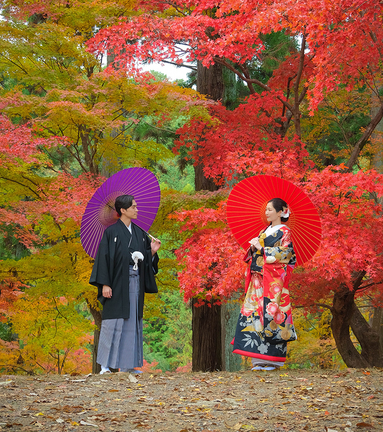 紅葉山プラン(11月限定)